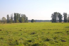 Obraz 2101